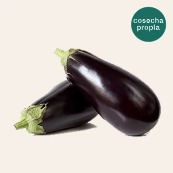Berenjena