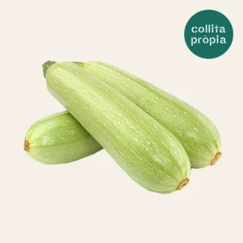 Calabacín blanco