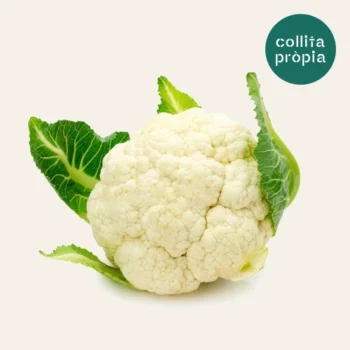 Coliflor