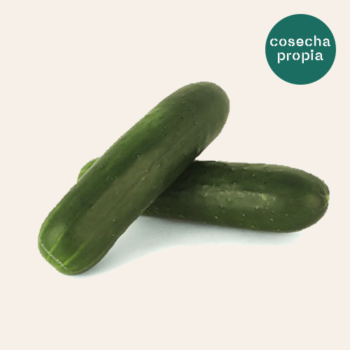 Pepino