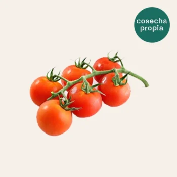 Tomate en rama